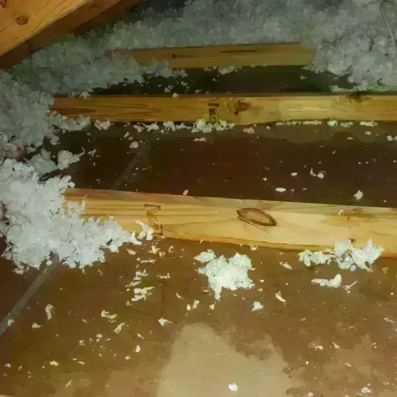 Attic Water Damage in Greensburg, PA